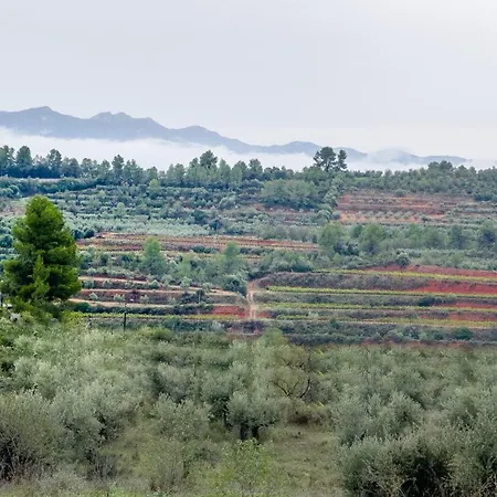Camins Del Priorat Ermita Sant Pau Apartment